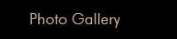 Picture Gallery